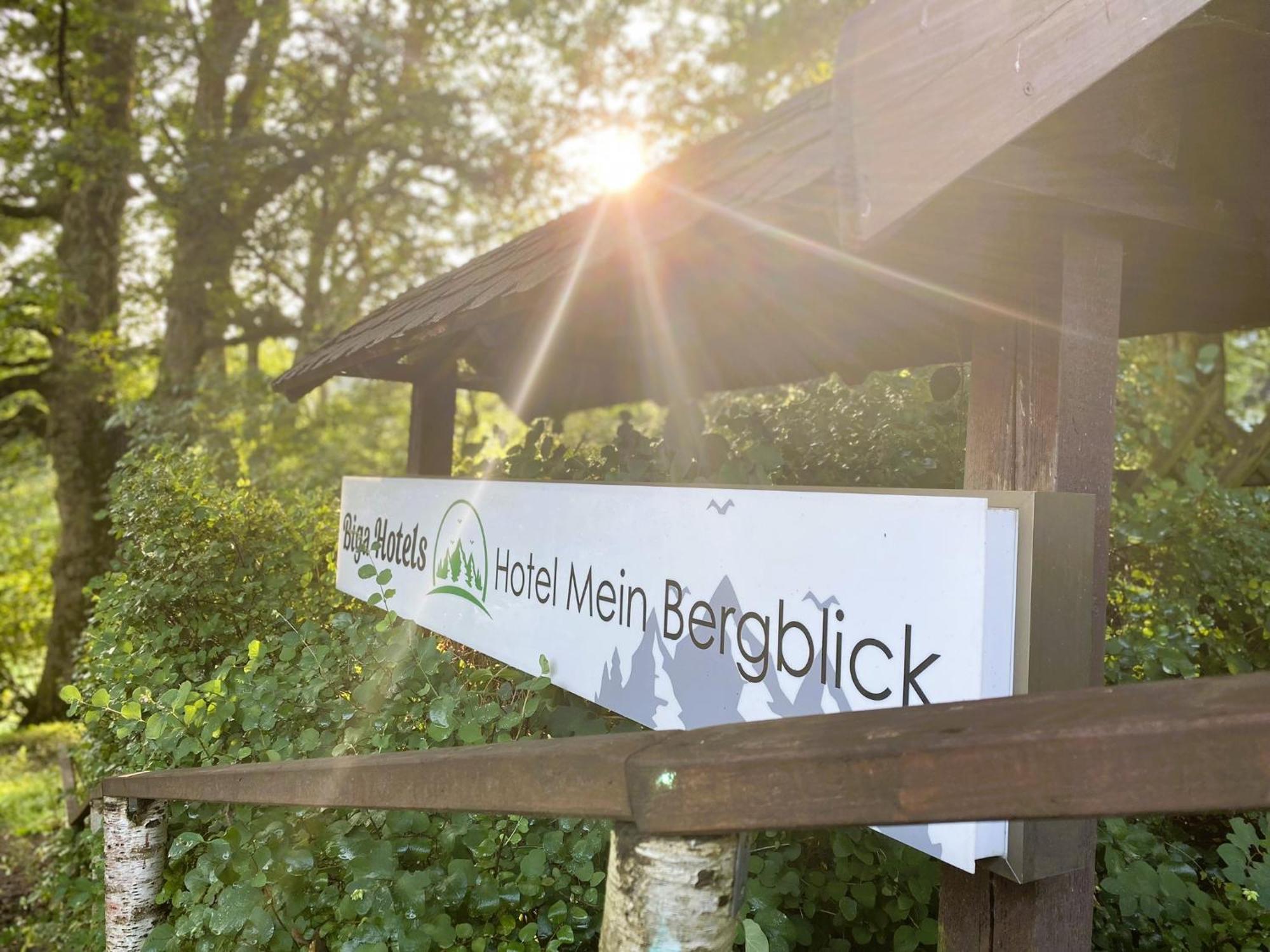 Hotel Mein Bergblick 戈斯拉尔 外观 照片